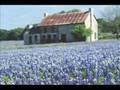 Songs About Texas - Youtube