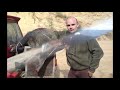 ΚΥΝΗΓΙ ΑΓΡΙΟΧΟΙΡΟΥ ΟΙ ΜΠΕΛΑΛΗΔΕΣ Part 1