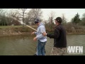Giant Largemouth Bass Fishing