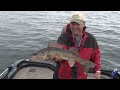 Fish Ed. How to Lindy Rig for Spring Walleye