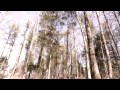 ST 2 Lettaz - Ocean GMix ft Julia Spada & Saturday, Monday