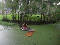 falling in a swamp