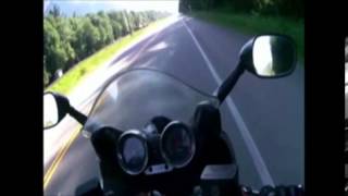 Motorcyclist hits bear on BC roads