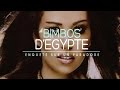 Les Bimbos d'Egypte - Enquete sur un paradoxe