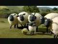 shaun the sheep - off the baa خروف شون ذا شيب رائع