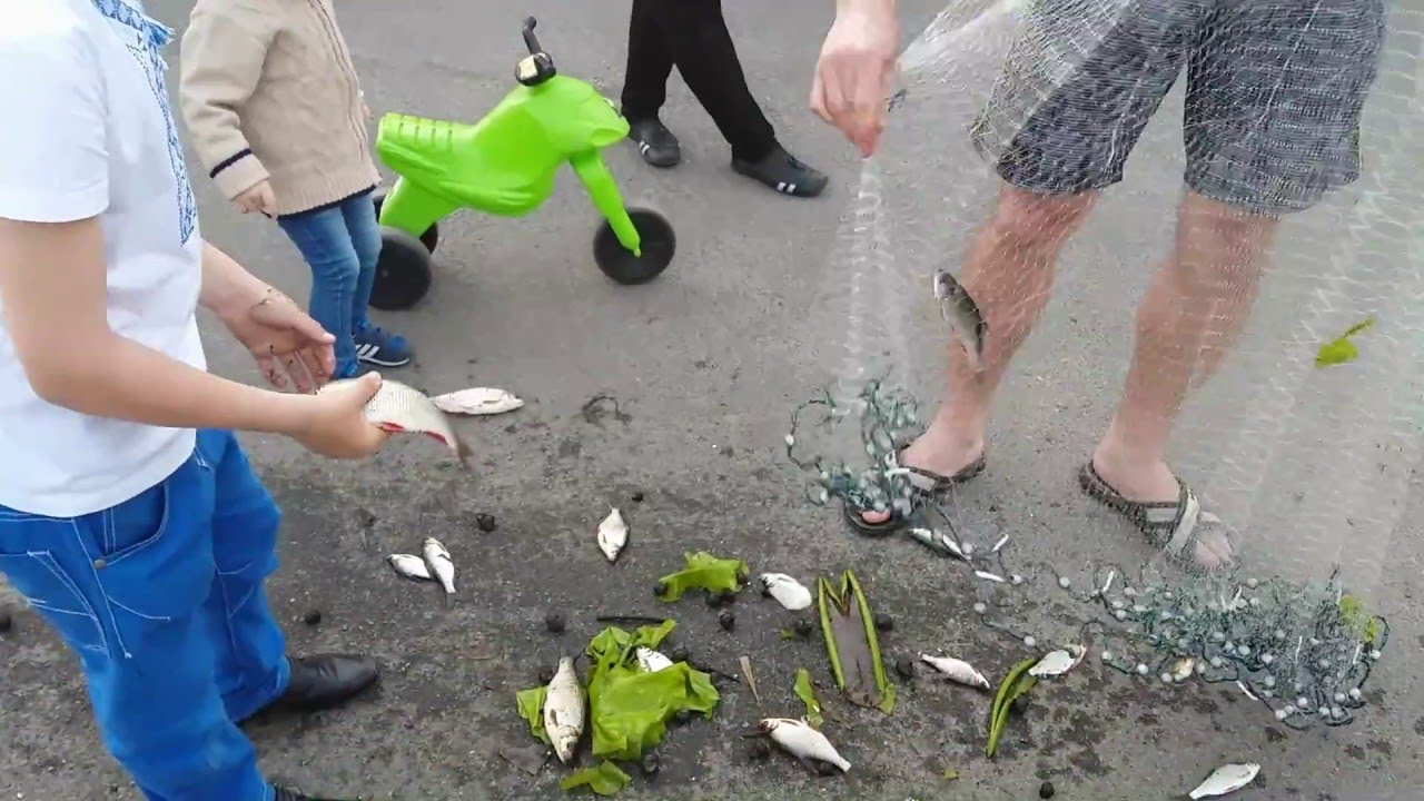 кастинговая сеть ловля в украине кастинговая сеть ловля в украине