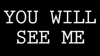 YOU WILL SEE ME - dan le sac vs Scroobius Pip