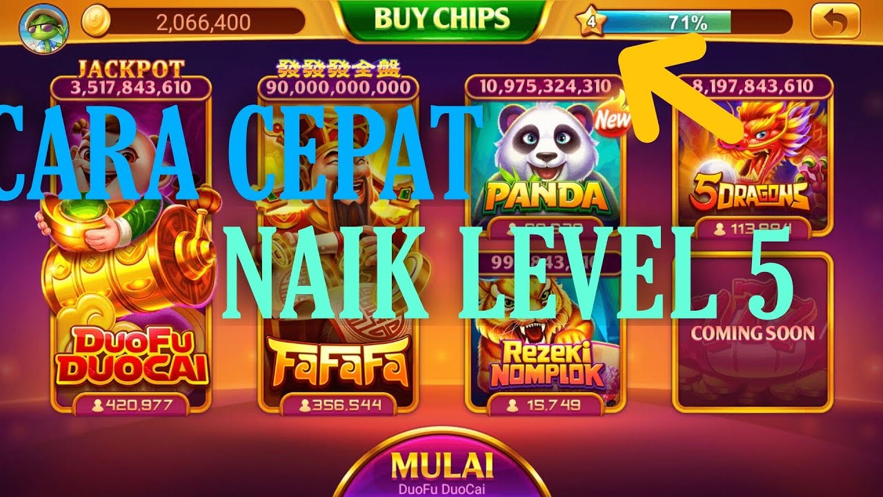 Cara Cepat Naik Level 5 Higgs Domino Untuk Bermain Slot Z Wmarmenia Com