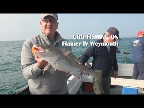 Onboard Series Cod fishing on Flamer IV with Allan Yates from seabooms.com