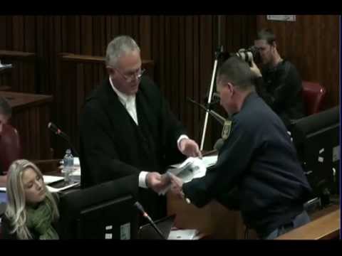 Pistorius trial continues.