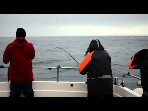 Lyme Bay Charters Spring Pollack Fishing