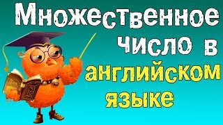 Грамматика английского языка.Множественное число в английском языке.