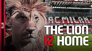 Ibrahimović | The Lion IZ Home