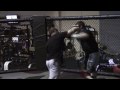 Wanderlei Silva , Randy Couture , Forrest Griffin , Arlovski 