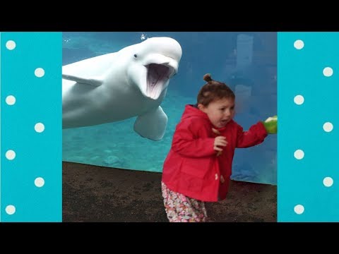 Funny Kids at the Aquarium Compilation #3 || Funny Baby and Pet