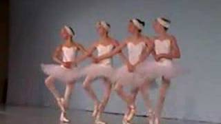 small swans