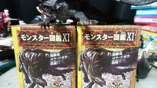 MONSTER HUNTER モンスターハンター図鑑XI 「ネルスキュラ＆ゴア・マガラを狙え！」