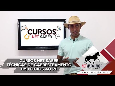 Curso de Doma de potro ao pé: Cabresteamento inicial com André Pinheiro - NET SABER