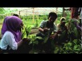 Des cultivateurs de cacao