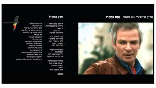 אריק איינשטיין - אדם בחדרו