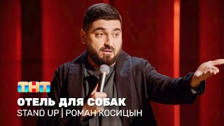 Stand Up: Роман Косицын — отель для собак