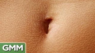 5 Strange Facts About Belly Buttons