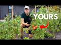 Why I Prefer Heirloom Vegetables