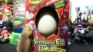 Mysterious Egg UMA 「未確認生物モンゴリアン・デス・ワームを捕獲せよ！」 PART2 上