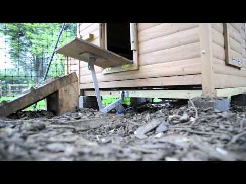 Automatic Chicken-coop Door - YouTube