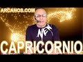 Video Horscopo Semanal CAPRICORNIO  del 19 al 25 Febrero 2023 (Semana 2023-08) (Lectura del Tarot)