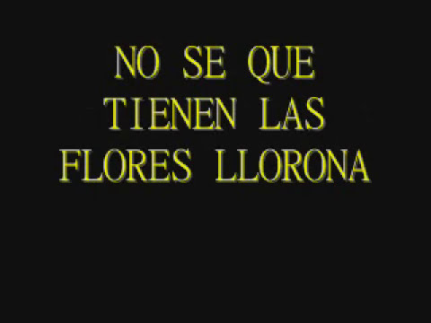 LLORONA CHAVELA LETRA llorona chavela letra: