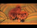 Kimiko&Ichigo.flv