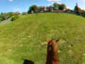 Purs moments avec un pur sang sur l'hippodrome de Pompadour en 3D