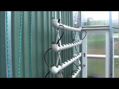 PVC Pipe Strawberry Planters
