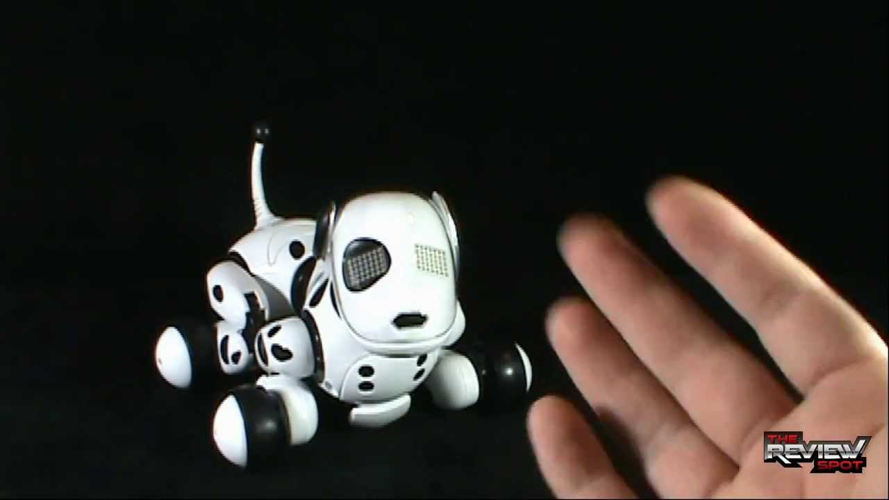 Toy Spot - Spin Master Zoomer - YouTube