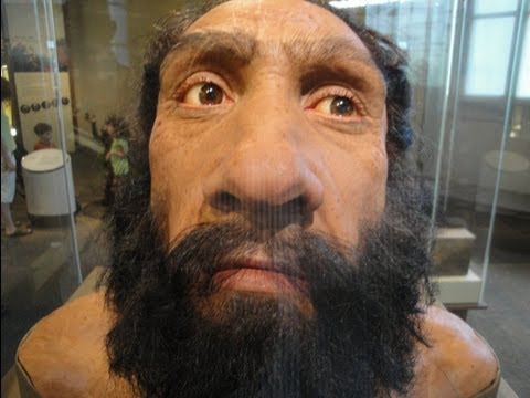 Hình ảnh trong video Fox News Loses It: Claims 2012 Romney Jeep Lie