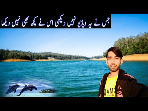 Jisne ye video Nahi Dekha usne Kuch Bhi Nahi Dekha||my vlog video ||Kaleem Ullah