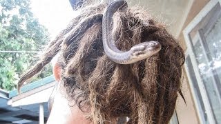 SNAKE IN MY DREADLOCKS