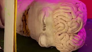 An Alien Claymation An Alien Claymation