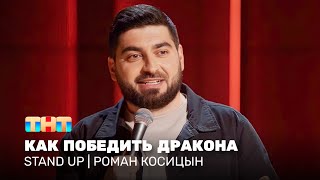 Stand Up: Роман Косицын — как победить дракона