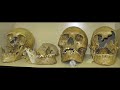 Top Secret breaking newsThe Truth About Nephilim Giants they do exist even today