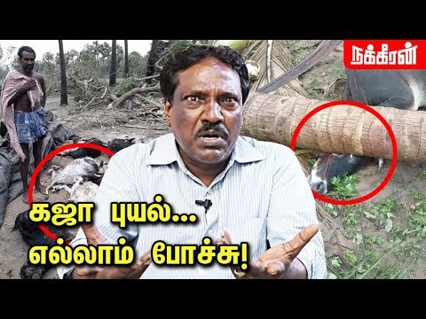 Download கண்ணீரை வரவழைக்கும் உருக்கமான பாடல் | Pushpavanam Kuppusamy Emotional Song | Gaja Cyclone Effect