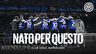 NATØI PER QUESTO 🎤🖤💙??? @DOGOTVOFFICIAL