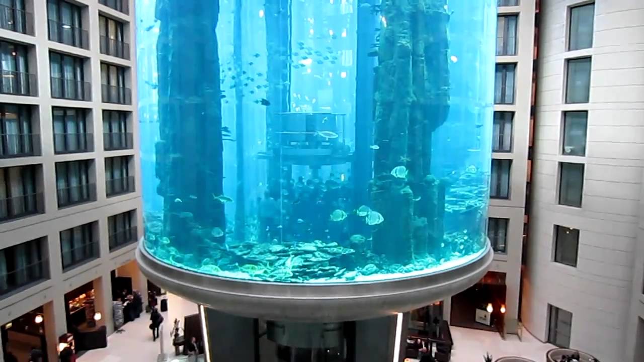 Aqua Dom, the really big aquarium (with a lift inside!) in the middle