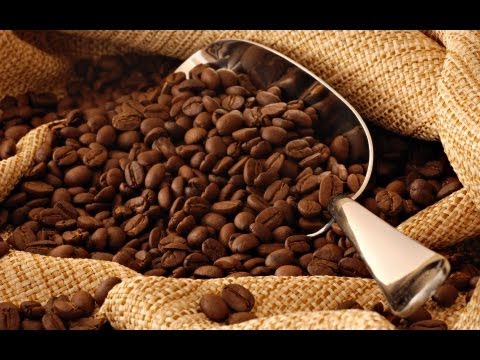 THRIVE Coffee - Direct from the Farmer THRIVE Coffee - Direct from the Farmer