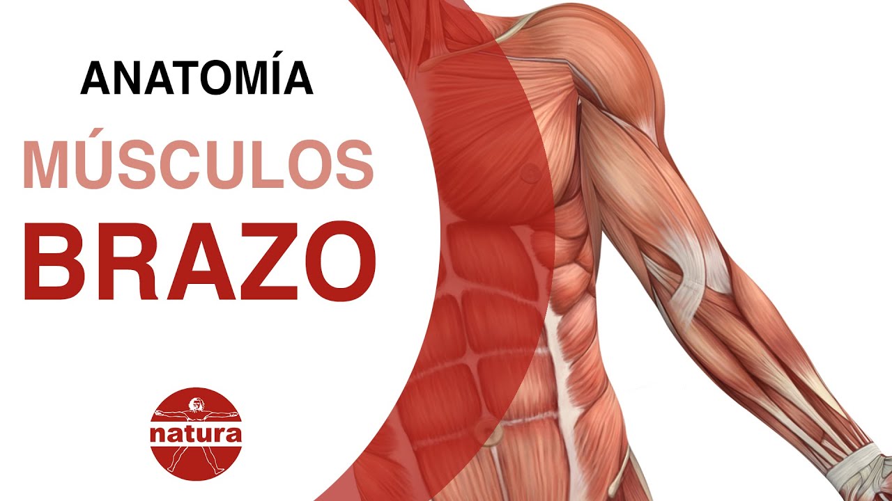 clase alta masaje pecho enorme clase alta masaje pecho enorme
