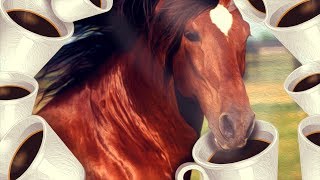 MEU CAVALO TOMA CHÁ! - Ampu-Tea