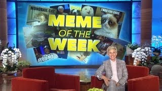 Ellen's Meme of the Week