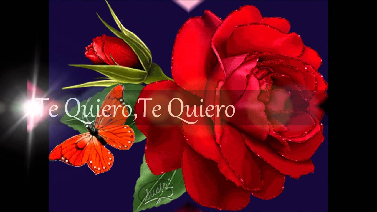 LETRAS DE CANCIONES ERES PARA MI letras de canciones eres para mi:
