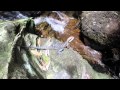 Road Trip Australien - Sakodo Compagnie